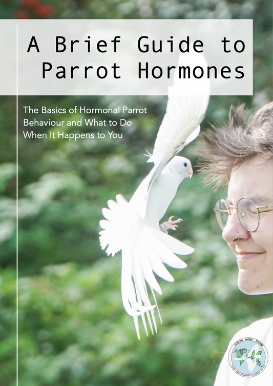 A Brief Guide To Parrot Hormones