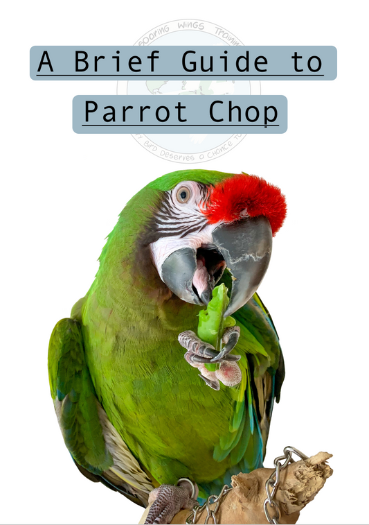 A Brief Guide to Parrot Chop