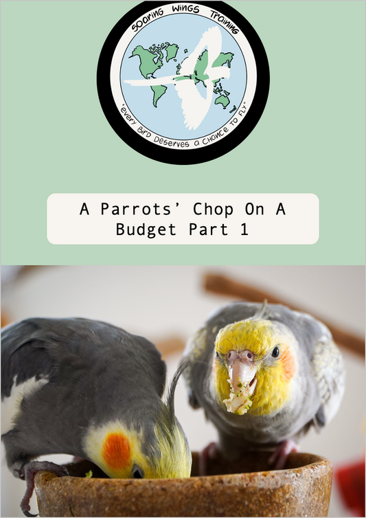 A Parrots' Chop On A Budget Part 1