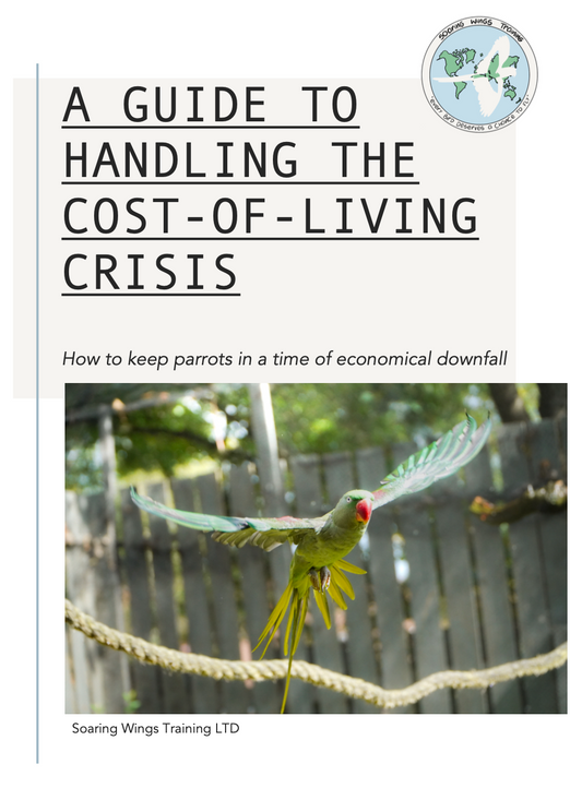 A Guide To Handling The Cost-Of-Living Crisis