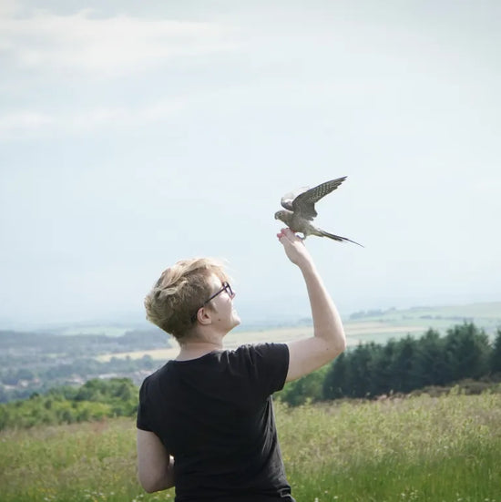 Frank the cockatiel landing on Thomas, her owner. Bright blue skies and green hill in the background.