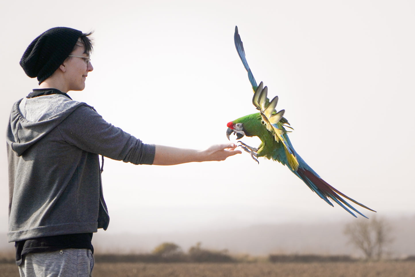 Flight Rehabilitation Training With Nash